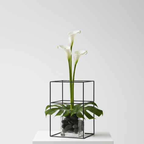 Composition florale minimaliste avec arums blancs et structure géométrique noire - Openflor Lille