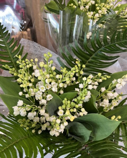 Gros plan Brins de Muguet et Fougères – Openflor Détail des clochettes de muguet et feuilles de fougère pour la fête du travail chez Openflor Lille.