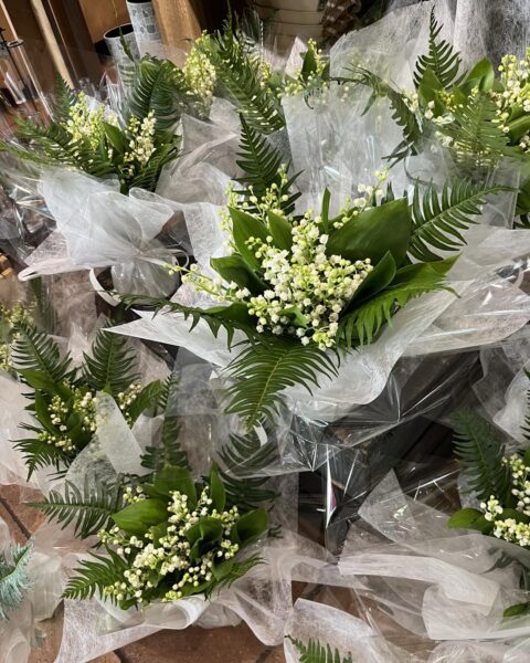 Vente de Muguet 1er Mai – Boutiques Openflor Lille Présentation de nombreux bouquets de muguet prêts à emporter dans une boutique Openflor à Lille.