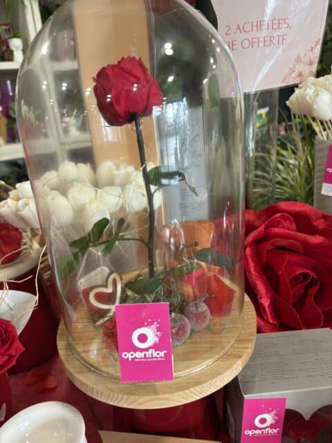 Rose éternelle lumineuse Saint-Valentin – Openflor Rose éternelle rouge sous cloche en verre avec guirlande lumineuse et petit ours, fleuriste Lille.