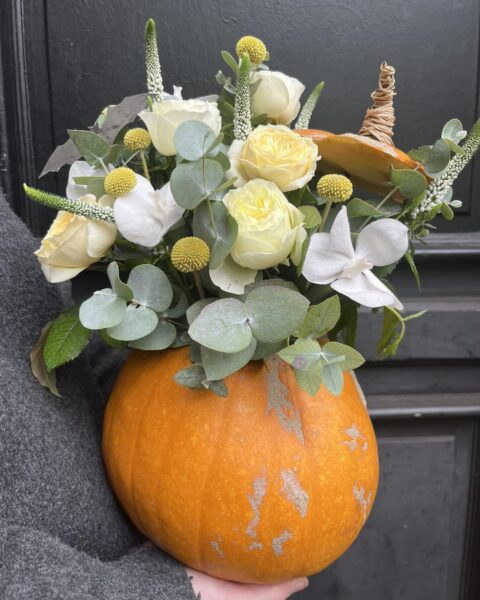 Composition Automne Citrouille Roses et Orchidées – Openflor Lille Composition florale d'automne dans une citrouille avec roses blanches, orchidées et eucalyptus chez Openflor Lille.