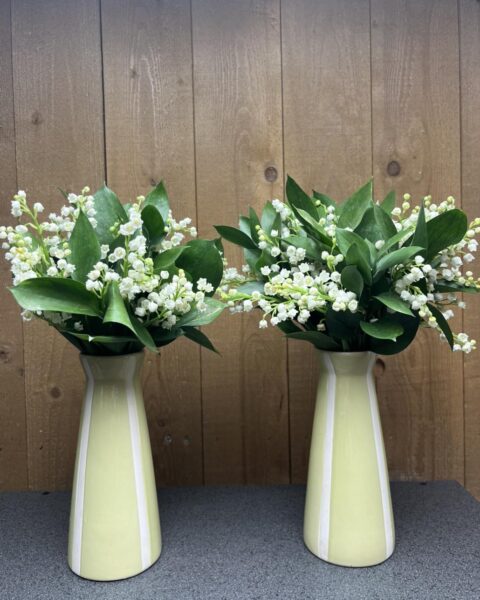 Bouquets de muguet en vases jaunes – Openflor Deux vases en céramique jaune pastel garnis de bouquets de muguet et fougères, fleuriste Openflor Lille.