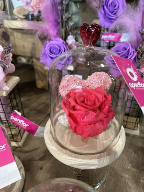 Mini cloche Rose et Cœur – Collection Saint-Valentin Mini cloche en verre avec rose éternelle rouge et pic cœur rose, cadeau Saint-Valentin Openflor.
