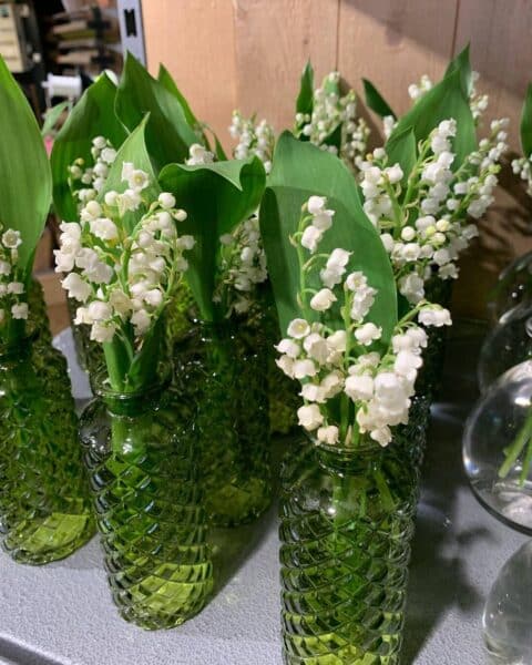 Mini vases de muguet décoratifs – Openflor Série de petits vases en verre vert texturé contenant chacun un brin de muguet, décoration Openflor Lille.