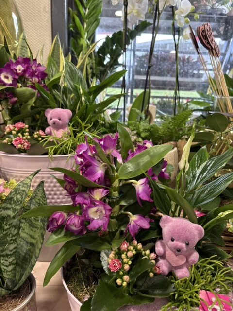 Orchidées Dendrobium et oursons roses – Openflor Composition de plantes avec orchidées Dendrobium violettes et petits oursons roses, décoration Saint-Valentin Openflor.