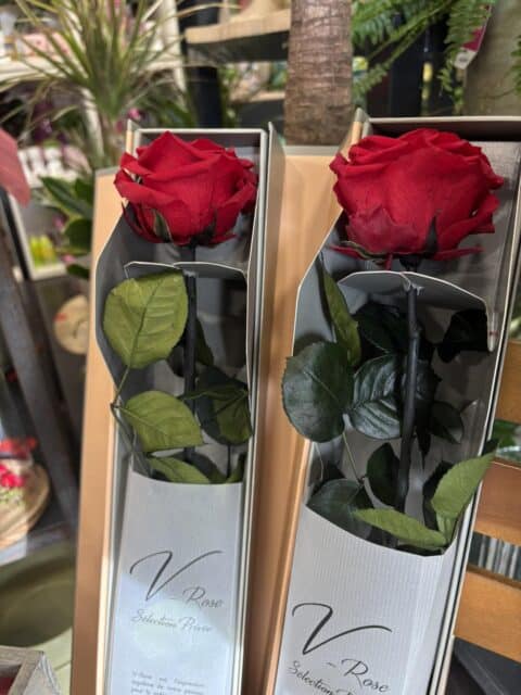 Coffret Prestige Roses Éternelles Longue Tige – Fleuriste Lille Coffrets individuels de roses rouges éternelles à longue tige, sélection prestige Openflor fleuriste Lille.