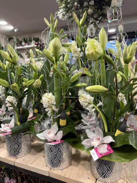 Composition Nouvel An – Amaryllis blancs et Champagne Composition festive pour le Nouvel An avec amaryllis blancs, orchidées et petite bouteille de champagne, Openflor Lille.