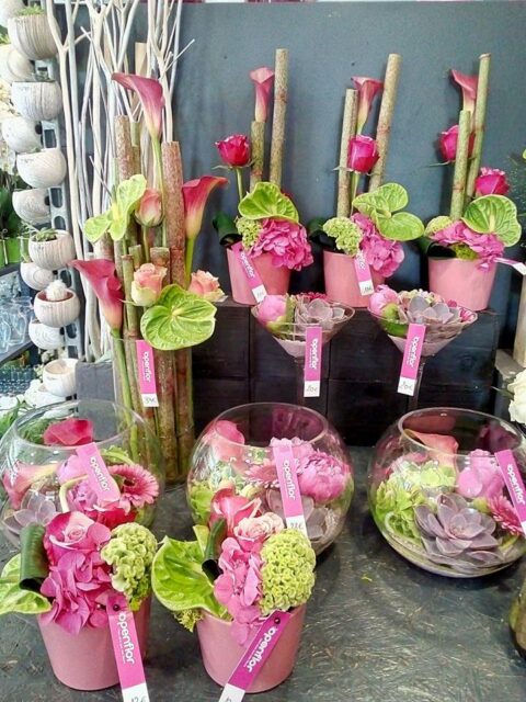 Assortiment de compositions modernes Fête des Mères Assortiment de compositions florales modernes en verre et bambou avec succulentes pour la fête des mères, Openflor Lille.