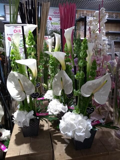 Composition design verticale – Arums et Anthuriums blancs Composition florale design en hauteur avec arums et anthuriums blancs, fleuristerie Openflor Lille.