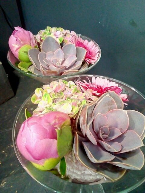 Coupe Martini florale – Succulente et Pivoine Coupe en verre forme martini avec succulente echeveria gris-violet et bouton de pivoine rose, Openflor Lille.