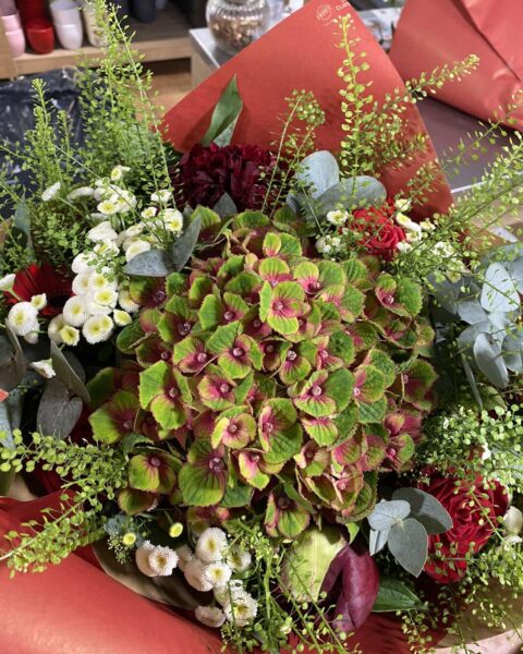 Bouquet avec hortensia bicolore et petites marguerites Bouquet d'inspiration champêtre autour d'un hortensia bicolore vert et rose et marguerites, Openflor Lille.