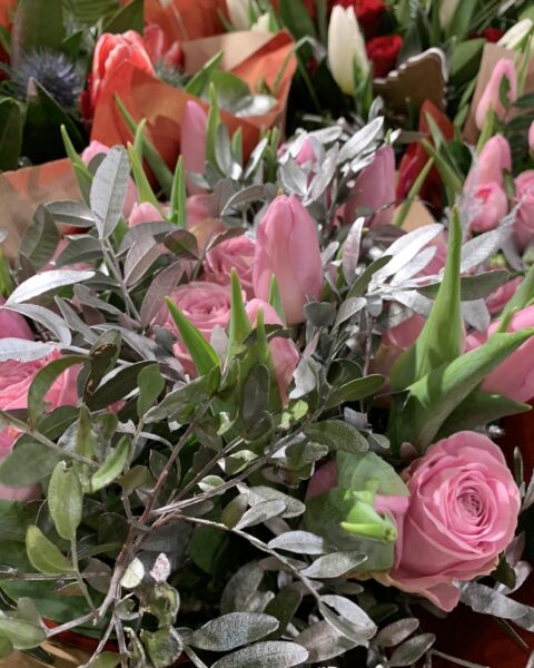 Bouquet de fêtes douceur – Tulipes roses et feuillage argenté Bouquet d'hiver doux avec roses, tulipes roses et feuillage argenté, Openflor Lille.