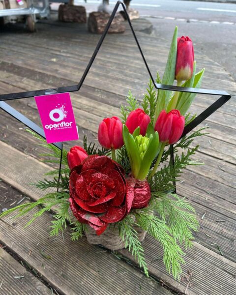 Composition de Noël étoile en métal – Tulipes rouges et jacinthe Composition de Noël dans une étoile en métal avec tulipes rouges, jacinthe et sapin, fleuriste Openflor Lille.