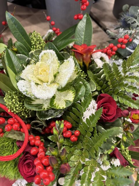Composition de fêtes – Chou ornemental givré et roses rouges Composition de Noël avec chou d'ornement pailleté, roses rouges et baies, Openflor Lille.
