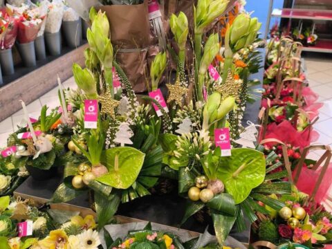 Compositions hautes de Noël – Amaryllis verts, anthuriums et or Compositions florales hautes de Noël avec amaryllis verts, anthuriums et boules dorées, Openflor.
