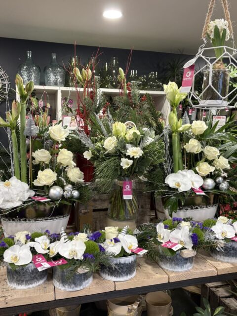 Collection de Noël Blanc et Argent – Amaryllis et Orchidées Étalage de Noël chez Openflor avec compositions blanc et argent, amaryllis, orchidées et roses blanches.