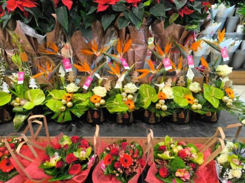 Compositions de Noël exotiques – Oiseaux de paradis et anthuriums Compositions de Noël exotiques avec oiseaux de paradis, anthuriums, gerberas et décorations dorées, fleuriste Openflor.