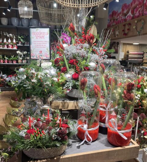Amaryllis rouges en cylindres de verre – Création de Noël Vitrine de Noël avec créations de la semaine, amaryllis rouges présentés dans des cylindres en verre, Openflor Lille.