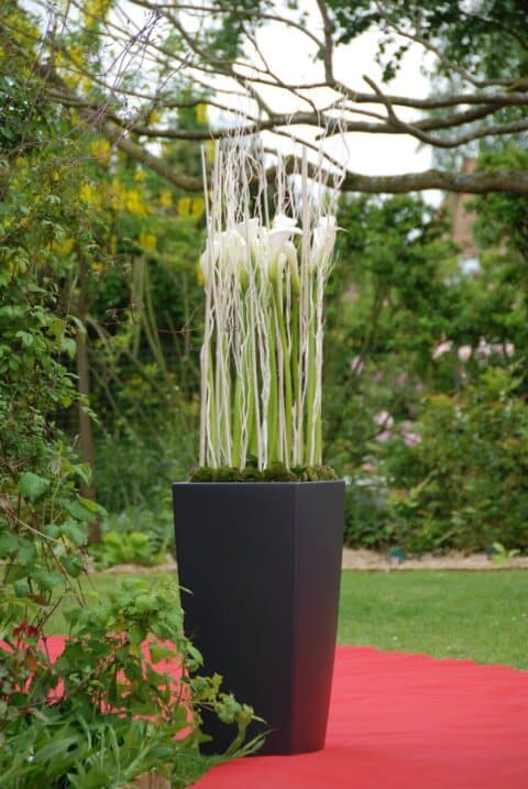 Grande décoration de cérémonie – Arums blancs en vase haut Grande décoration florale pour cérémonie de mariage avec arums blancs dans un vase haut noir, Openflor.