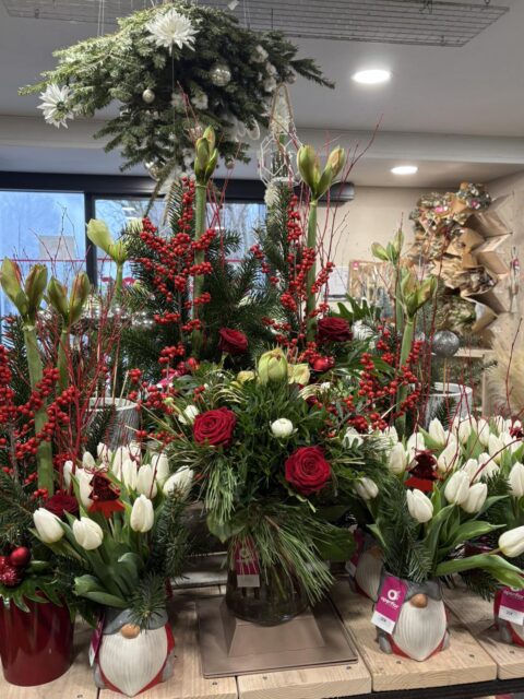 Compositions de fêtes – Amaryllis rouges, tulipes blanches et ilex Présentation de compositions de Noël avec amaryllis rouges, tulipes blanches et branches d'ilex, Openflor.