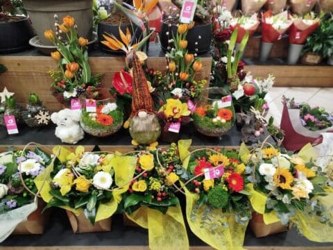 Idées cadeaux de Noël – Tulipes, oiseaux de paradis et lutins Étalage chaleureux de Noël avec tulipes oranges, oiseaux de paradis et adorables lutins, Openflor Lille.