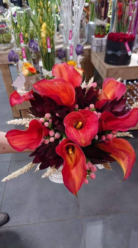 Bouquet de mariée original – Arums rouges et blé Bouquet de mariée audacieux avec arums rouges, baies roses et épis de blé, Openflor Lille.