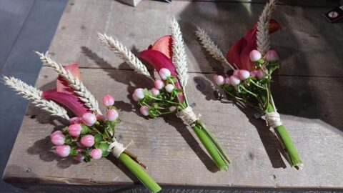 Boutonnières de mariage assorties – Arums rouges et épis de blé Trois boutonnières de mariage assorties avec arums rouges, baies roses et épis de blé, Openflor Lille.