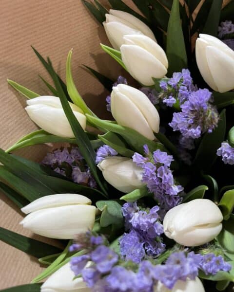 Bouquet de tulipes blanches et statice violet – Élégance printanière Gros plan sur un bouquet élégant de tulipes blanches et statice violet pour la fête des grands-mères, Openflor.