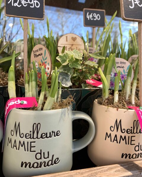 Mug « Meilleure Mamie du monde » avec bulbes printaniers Mug Meilleure mamie du monde planté de jeunes bulbes de printemps, idée cadeau Openflor Lille.