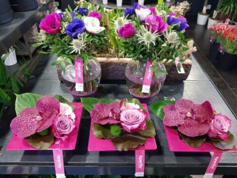 Bouquets d’anémones et compositions d’orchidées sur base fuchsia Duo de vases avec bouquets d'anémones et compositions graphiques avec fleur d'orchidée sur base carrée fuchsia, Openflor.