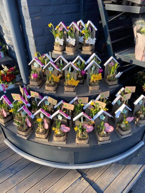 Nichoirs en bois fleuris avec bulbes de printemps – Fête des grands-mères Présentoir de nichoirs en bois garnis de bulbes de printemps et de jacinthes avec décoration Pour Mamie, artisan Openflor.