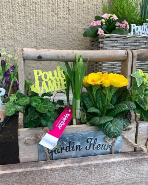Jardinière en bois rustique – Primevères, jonquilles et lierre Jardinière en bois rustique composée de primevères jaunes, jonquilles et lierre avec inscription Pour Mamie, Openflor Lille.