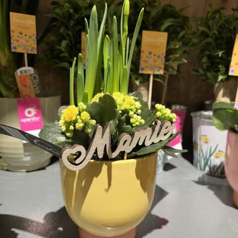 Composition en pot jaune – Kalanchoe et lettrage en bois Mamie Petit pot jaune rayonnant avec kalanchoe fleuri, feuillage et lettrage en bois Mamie, boutique Openflor.