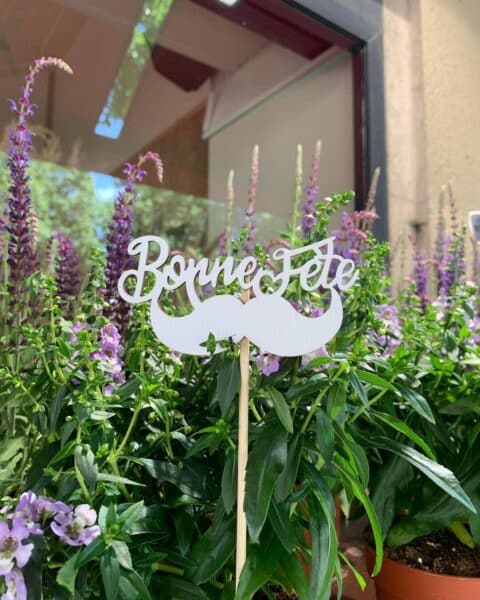 Fleurs d’extérieur violettes – Décoration Moustache Fleurs d'extérieur violettes avec pic décoratif Bonne Fête en forme de moustache, artisan Openflor Lille.