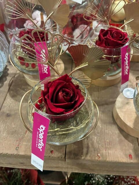 Rose éternelle sous cloche – Décoration dorée Ginkgo Rose éternelle rouge sous cloche en verre avec feuilles de ginkgo dorées, décoration de Nouvel An Openflor Lille.
